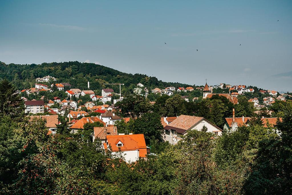 Old Citadel Hill Apartment Braşov Eksteriør bilde